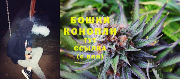 тгк Володарск