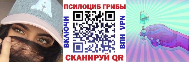 Псилоцибиновые грибы GOLDEN TEACHER  Шадринск 